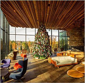 There is a christmas tree in the middle of the room.