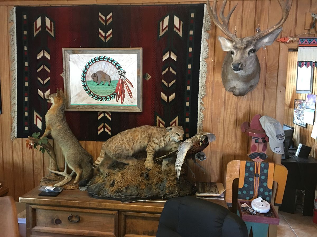 A room with stuffed animals and a deer head on the wall.