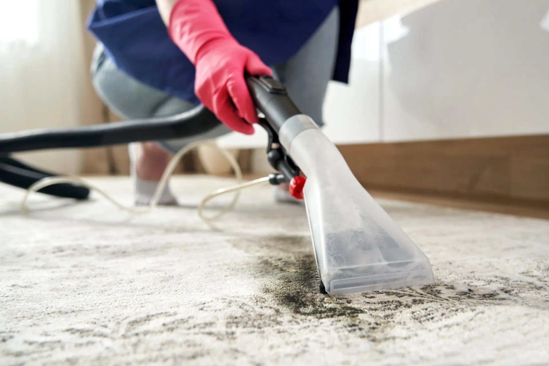 carpet and upholstery cleaning in Santa Cruz County