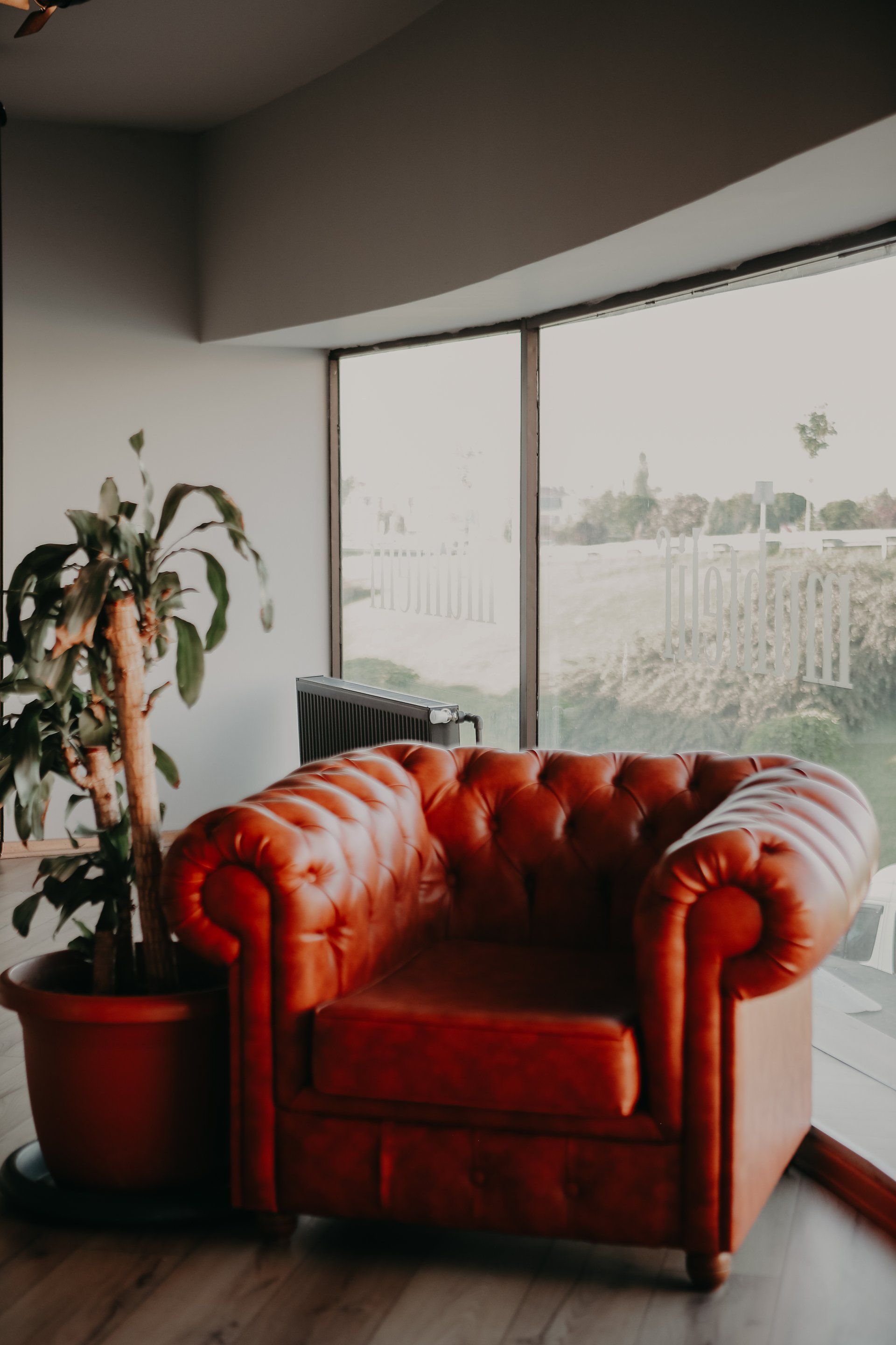 upholstery cleaning capitola