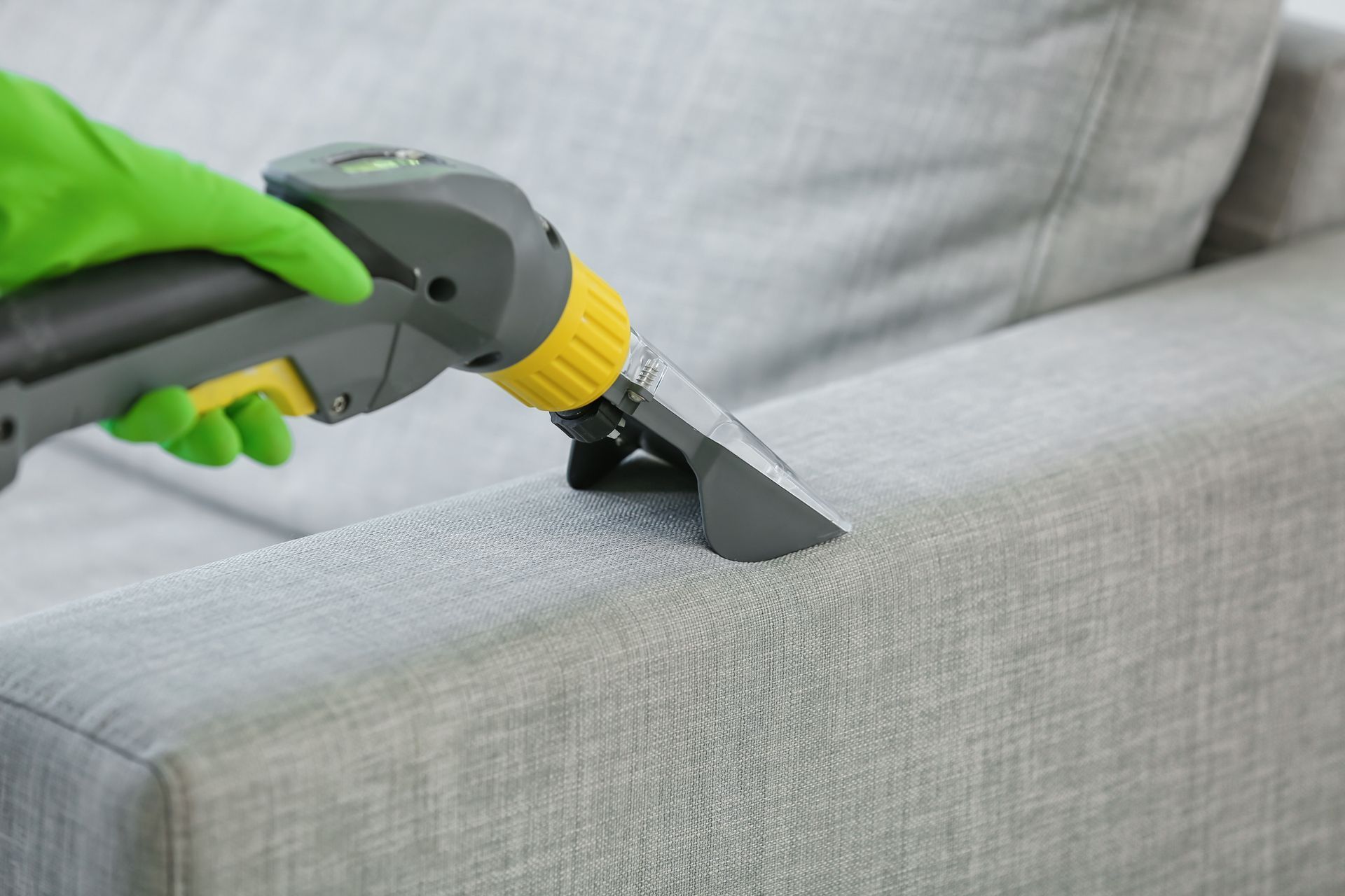 upholstery cleaning