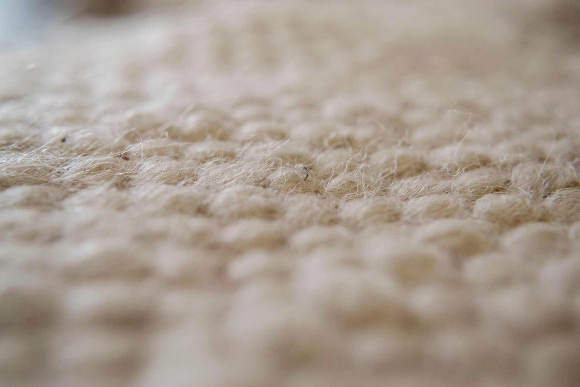 professional wool rug cleaning service in Santa Cruz County