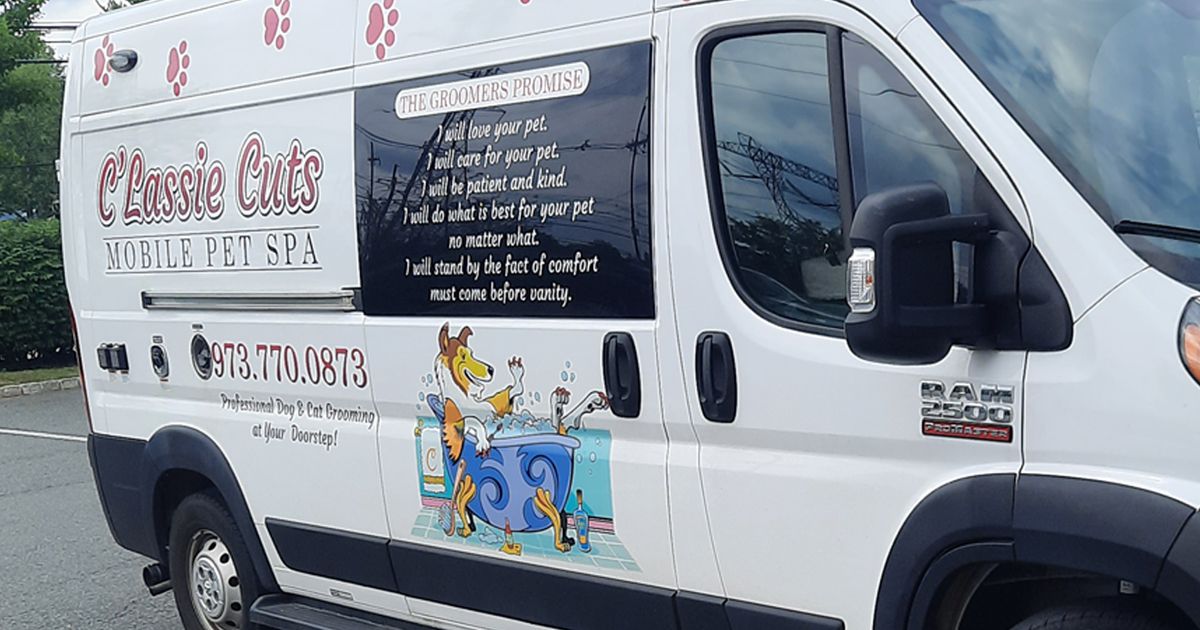 C'Lassie Cuts Mobile Pet Spa — recent pet groomer photo in Landing, NJ (Google Business Profile)