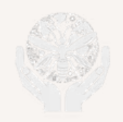 Sebastian Baumgartner