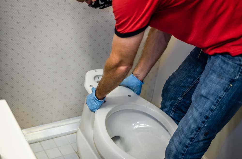 Plumber installing new toilet in bathroom