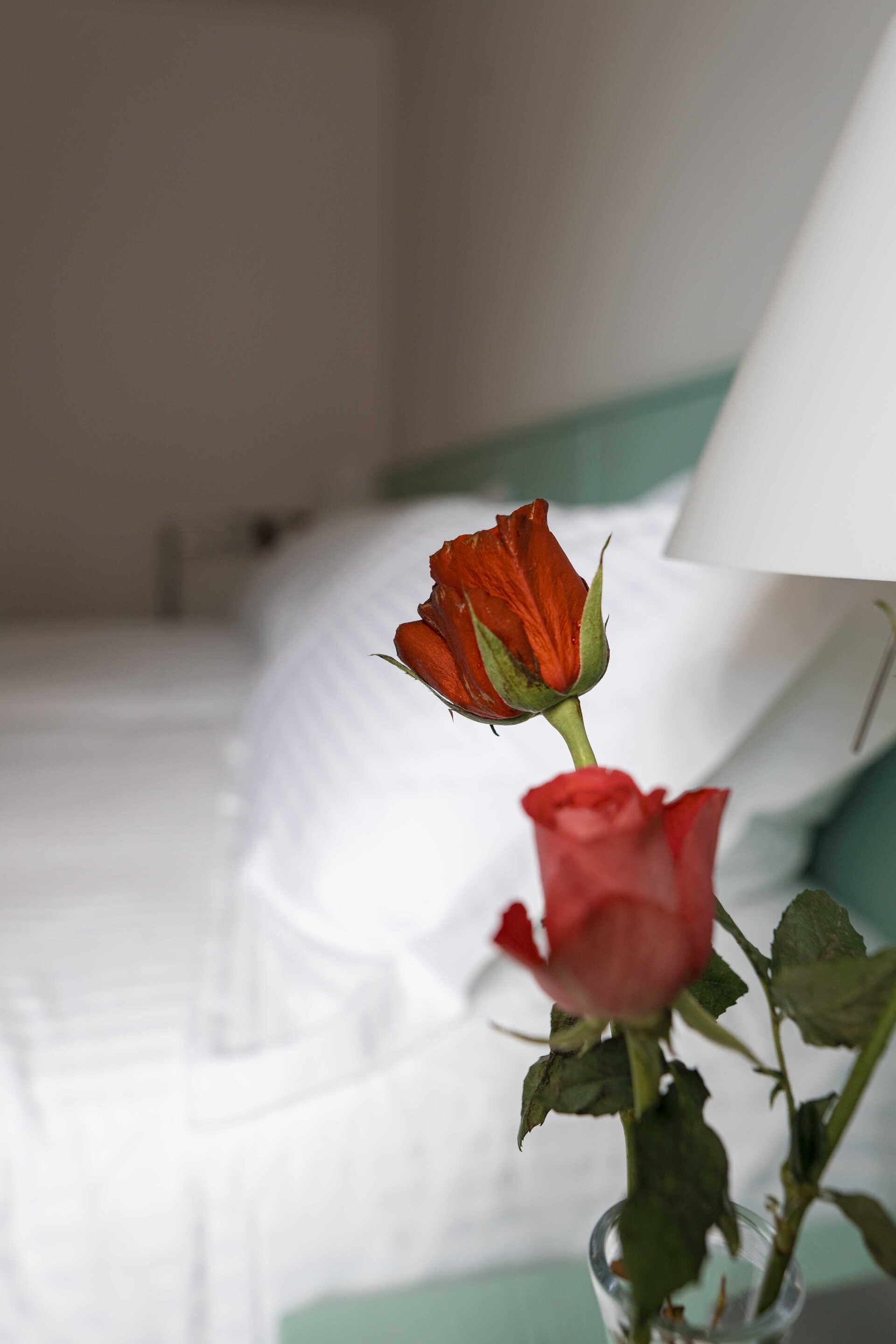 Chambre supérieure avec un bouquet de roses rouges