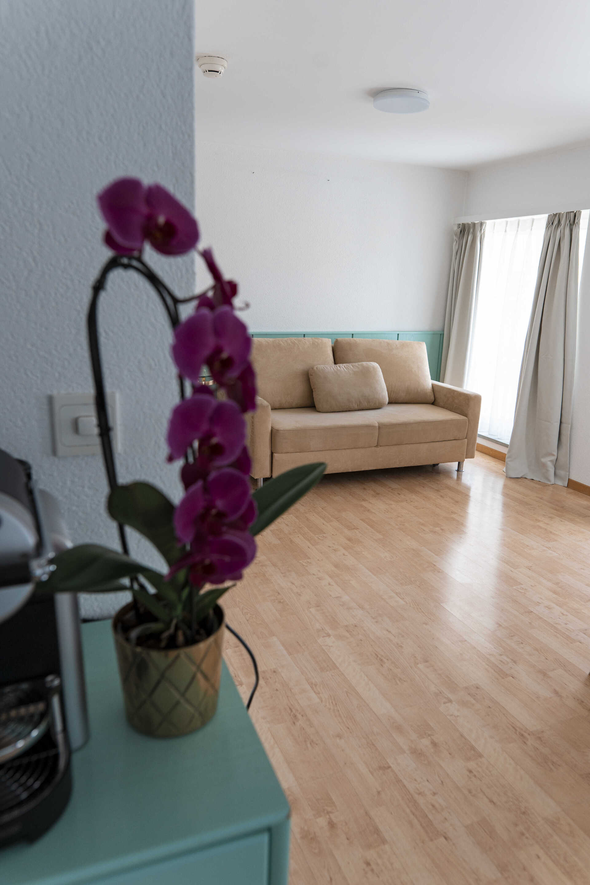 Chambre suite avec orchidée violette