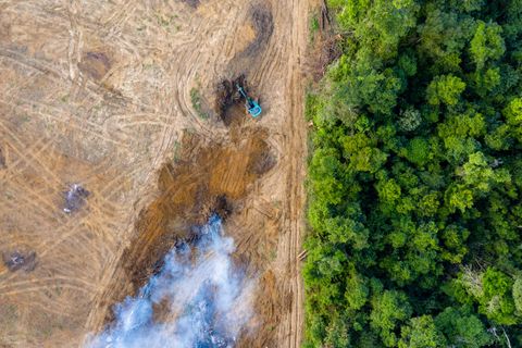 areal view of clearcurring a forest left half is dirt, machinery and smaoke and right half is a green tress