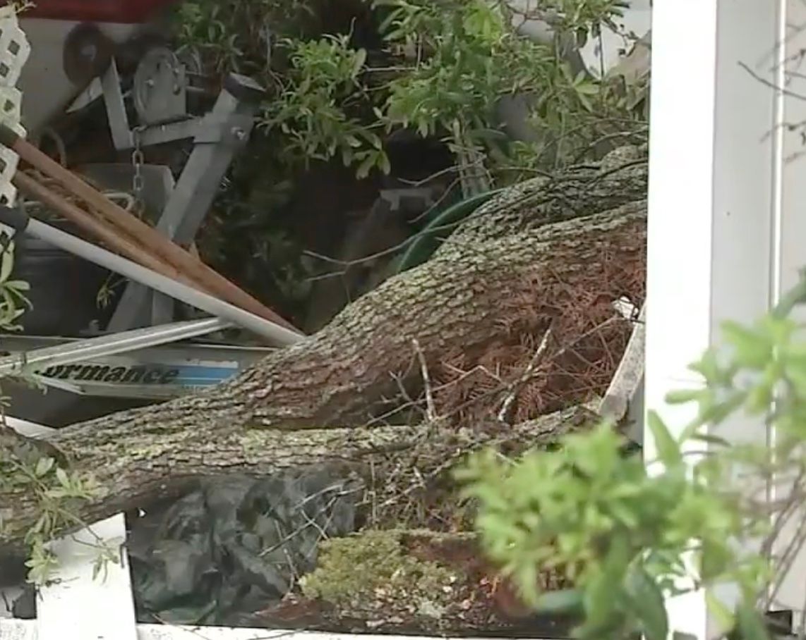 Fallen tree through wall. Debris and personal items in background