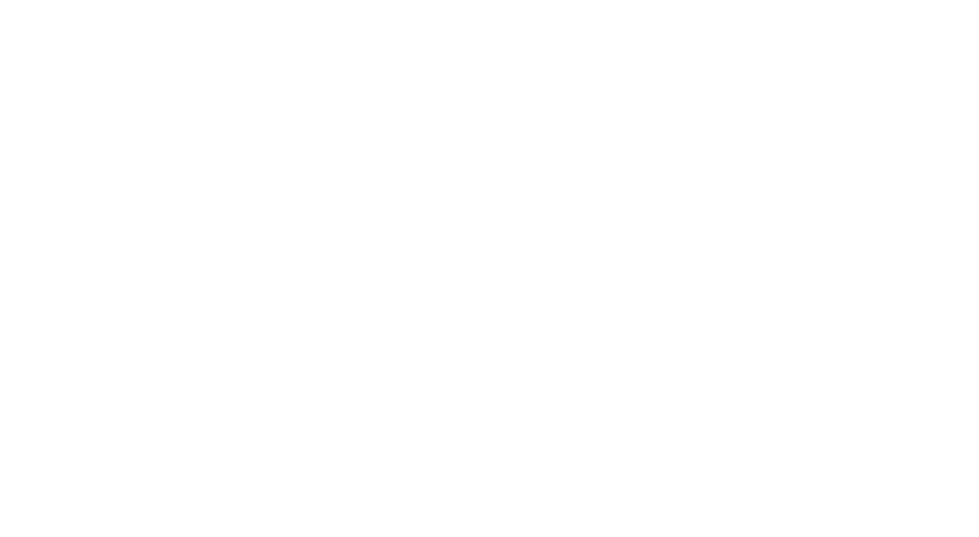 SouthAmerican Rally Race