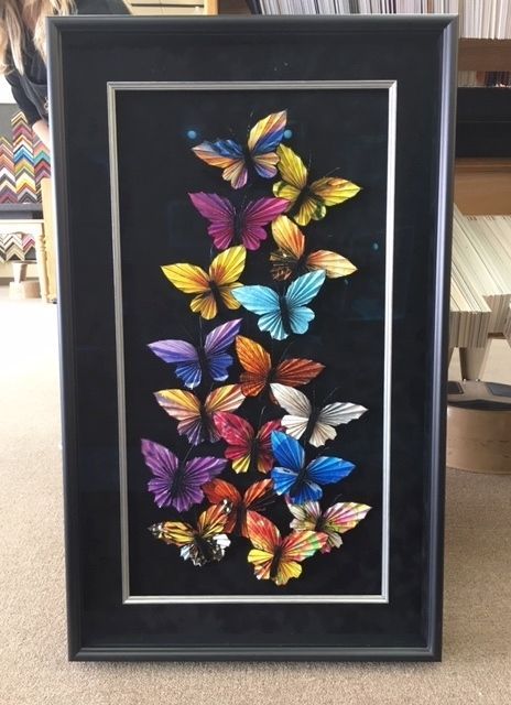 Framed shadowbox of butterflies