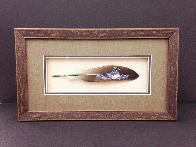 Framed shadowbox feather