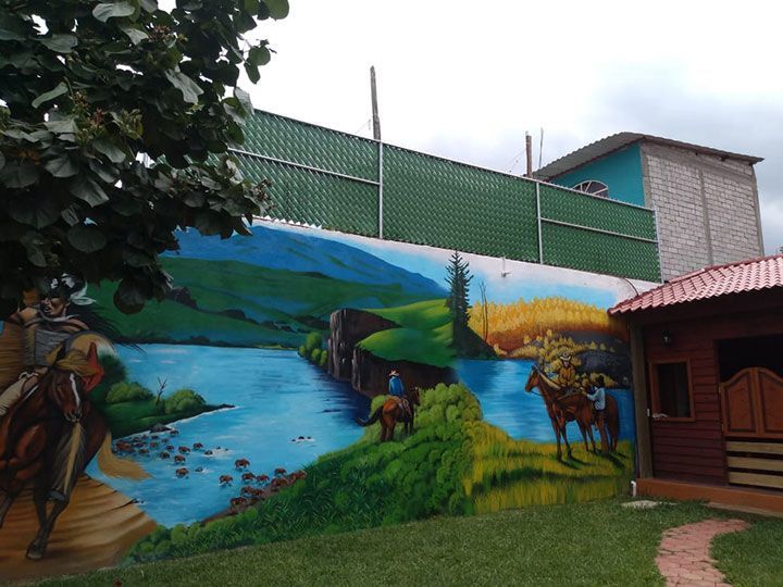 CERCAS Y MALLAS DEL VALLE