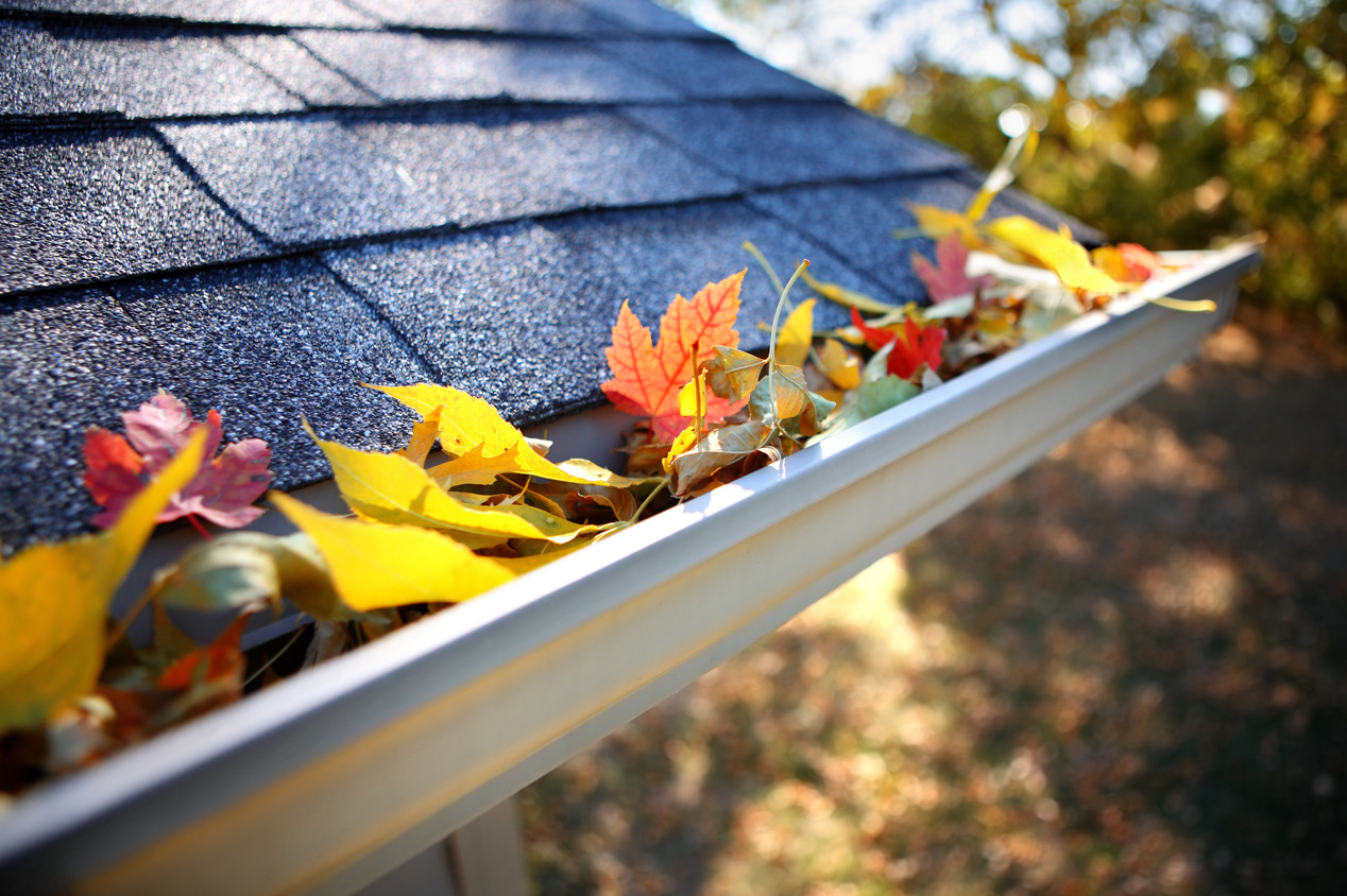 Gouttière remplie de feuilles d'automne colorées tombées sur le toit d'une maison.