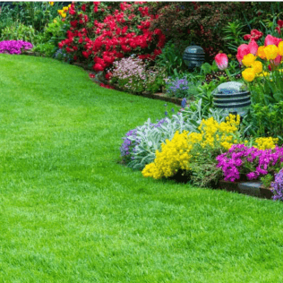 Fort Worth Landscaping Services