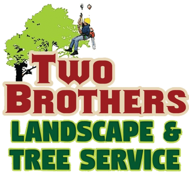 Landscaping Fort Worth TX