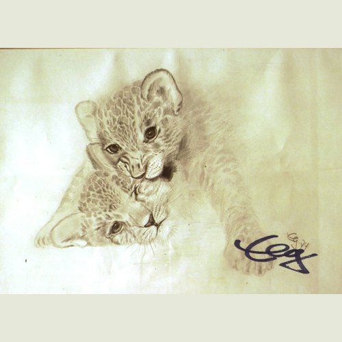 Bild Zeichnung Katzen Bleistift Goßner