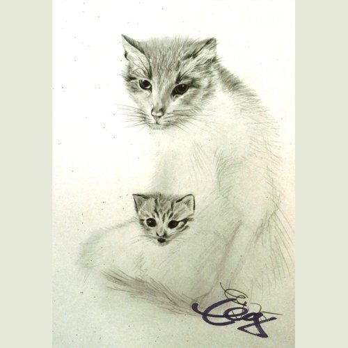 Bild Katzen Zeichnung Bleistift Papier Goßner