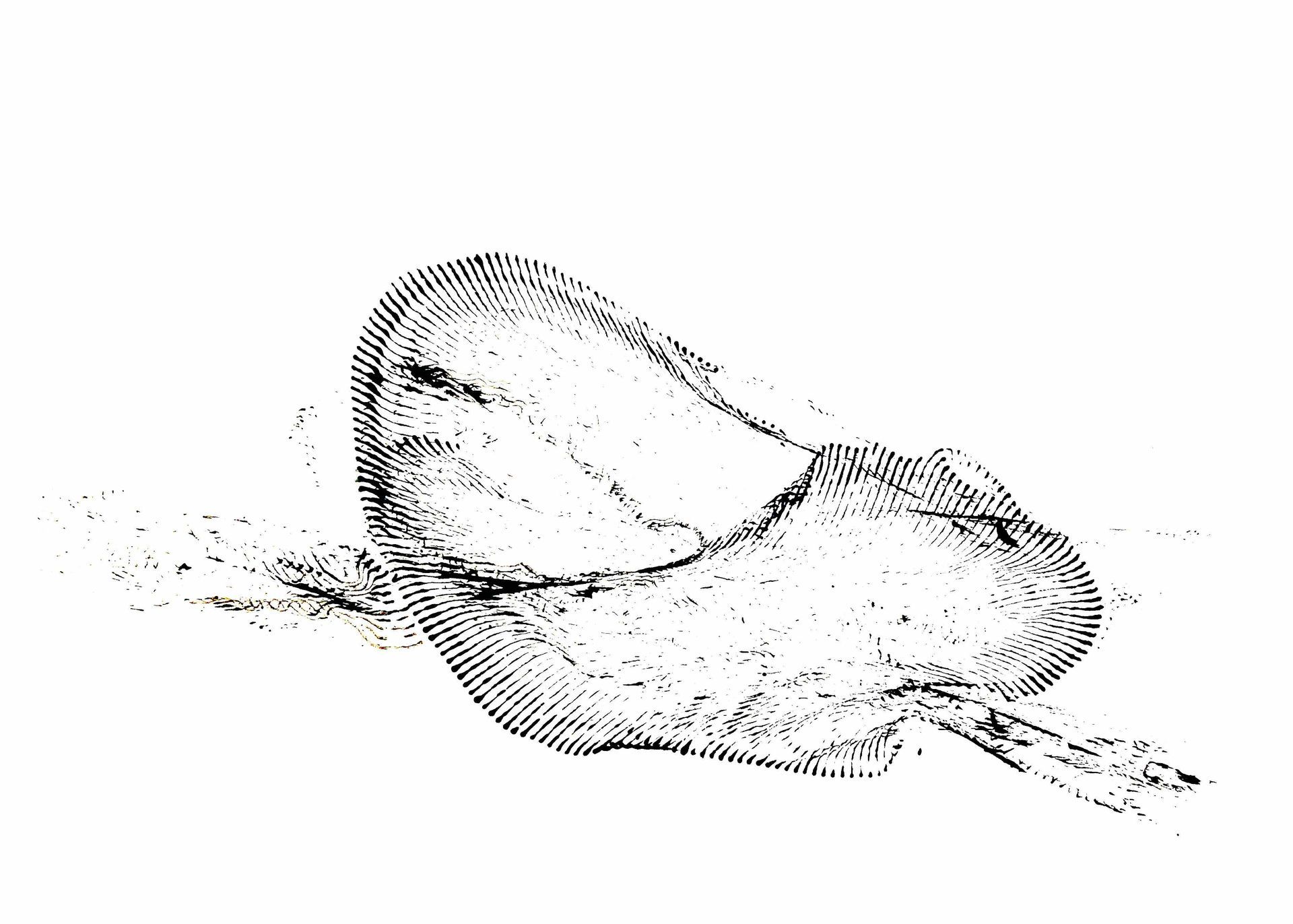 Ölgemälde Natur Wind Luft Sonne Wasser Wellen Licht Bewegung moderne Kunst Elisergo Instagram
Elisabeth Ernicke-Goßner 