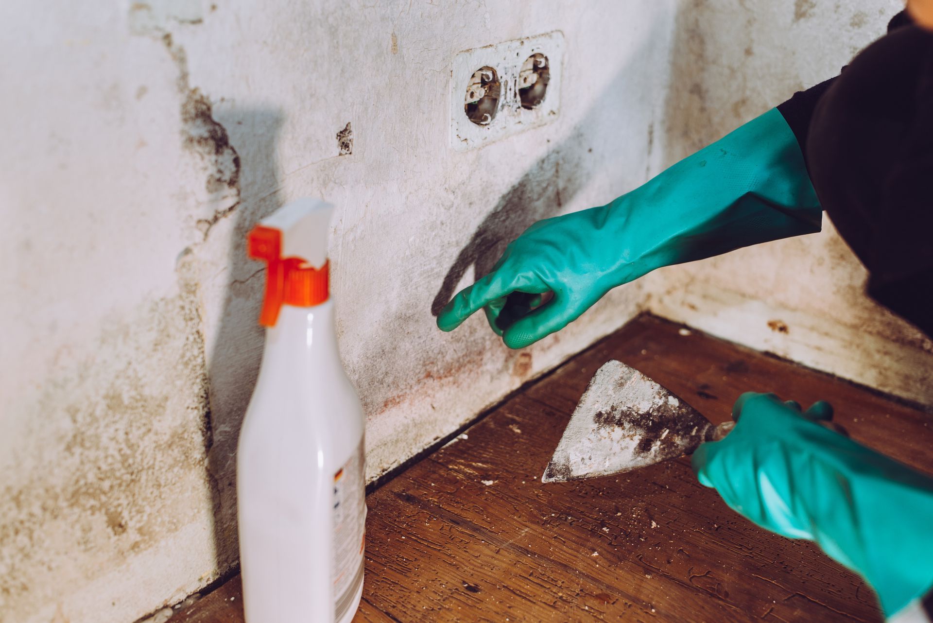 A close-up of a woman cleaning mold from a wall, highlighting the need for waterproofing services.
