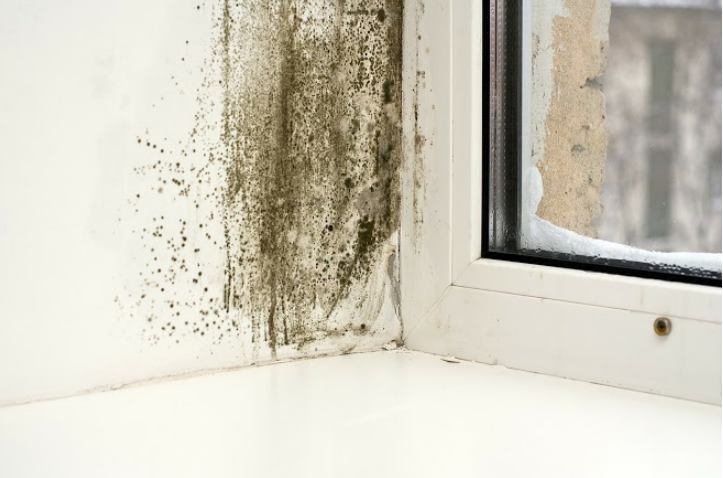 Mold Beside Window — Central Penn Waterproofing — Marietta, PA
