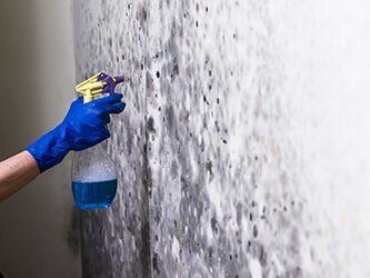 Mildew Treatment Services — Marietta, PA — Central Penn Waterproofing
