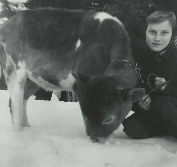 Young Vernita with a calf - Story writer in Bradley, ME