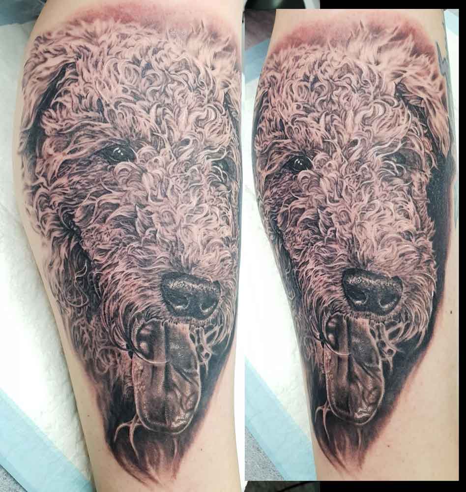 Airedale Dog Pet Portrait. Greywash Realism On Lower Leg. Ink By Kel - Tattoo Studio in Kawana, QLD