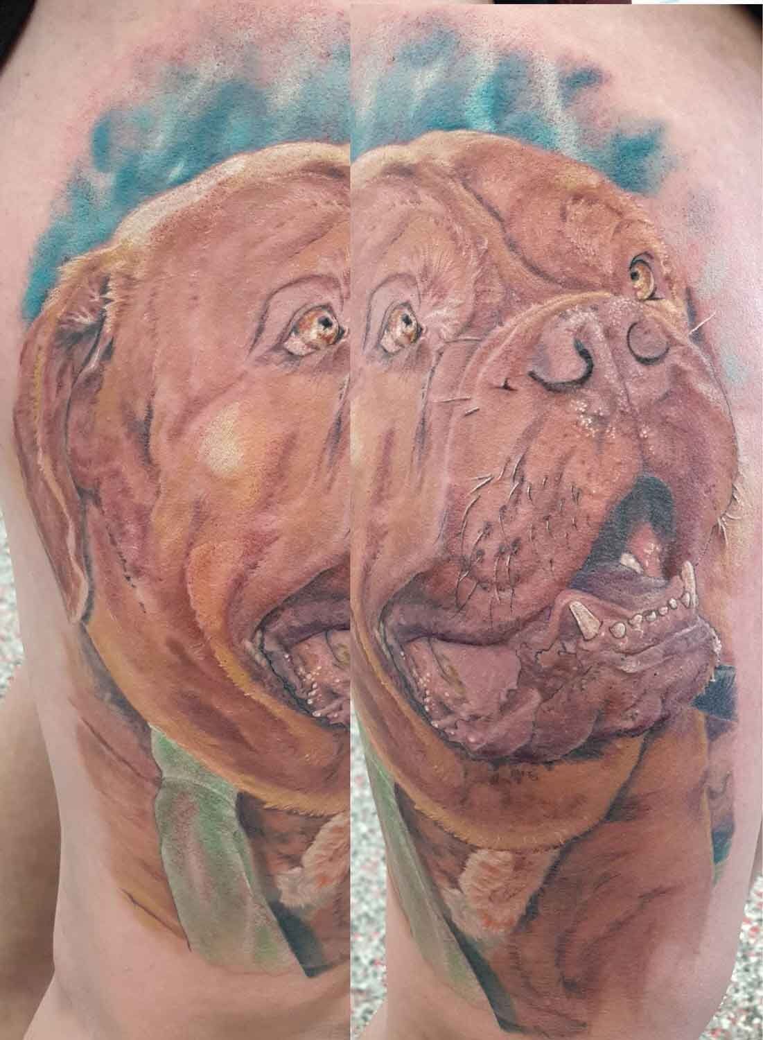 Bordeaux Dog On Thigh. Full Colour Realism Mostly Healed. Ink By Kel - Tattoo Studio in Kawana, QLD