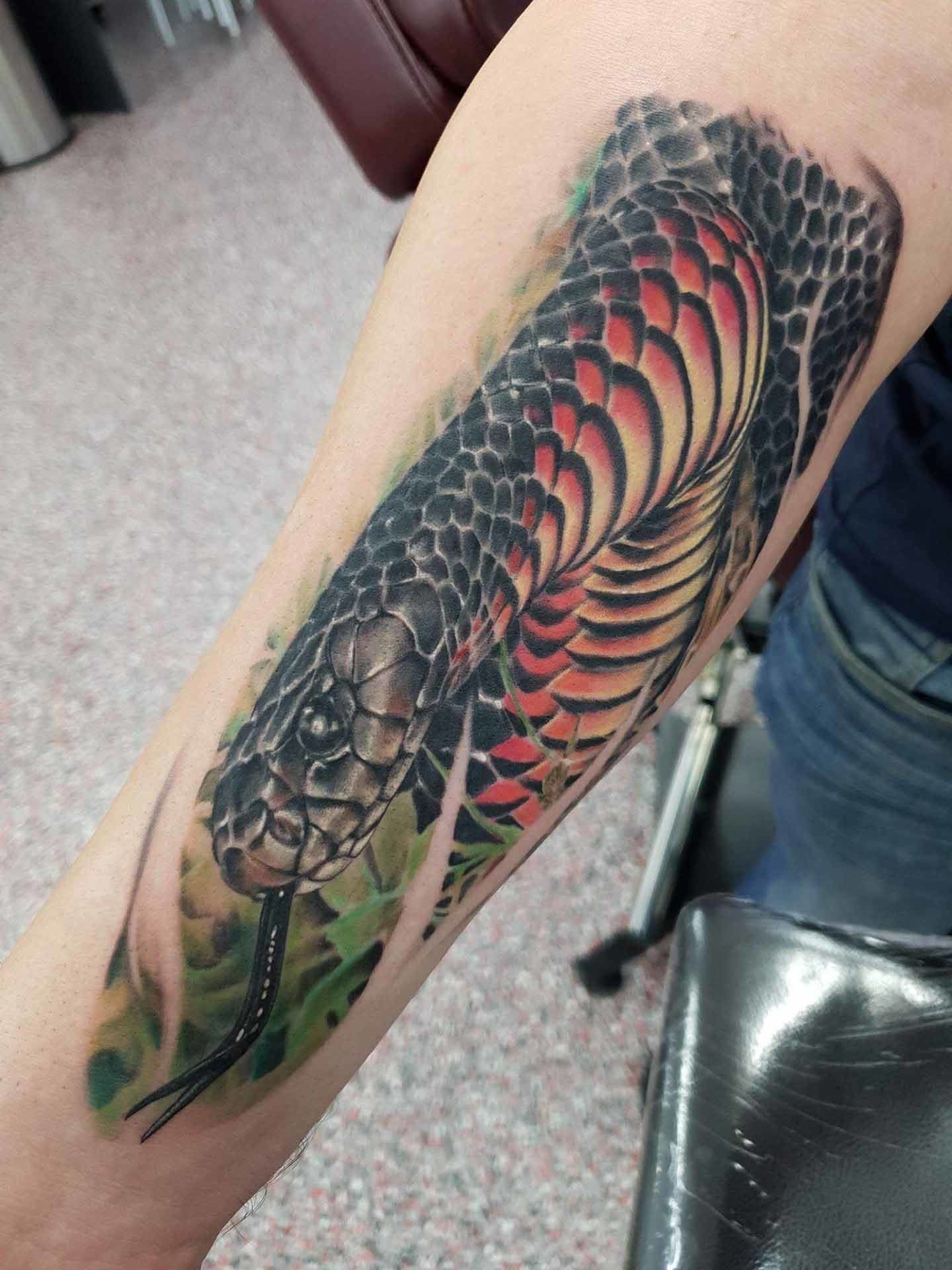 Snake Tattoo - Tattoo Studio in Kawana, QLD
