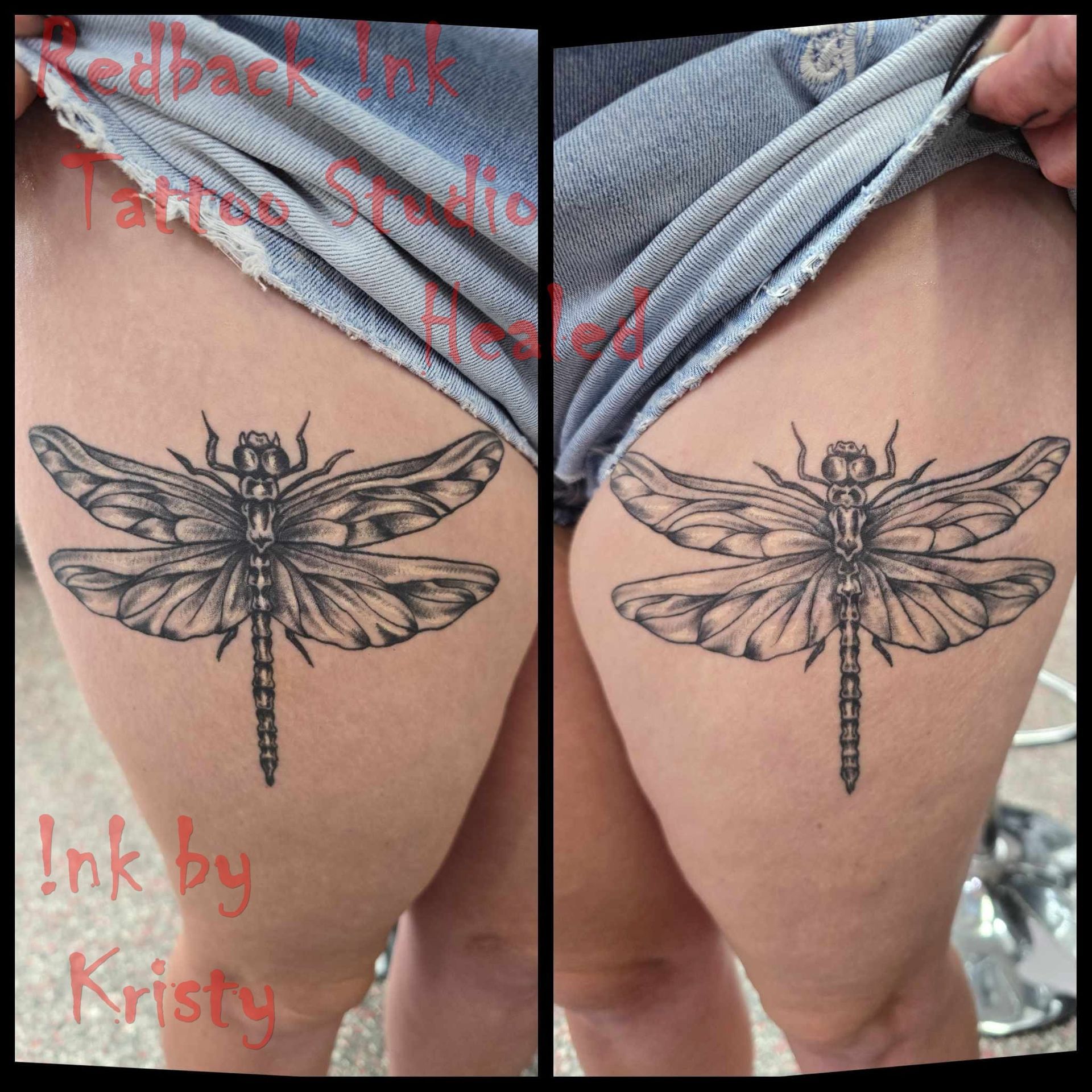 Dragonfly  - Redback Ink Tattoo Studio in Kawana, QLD