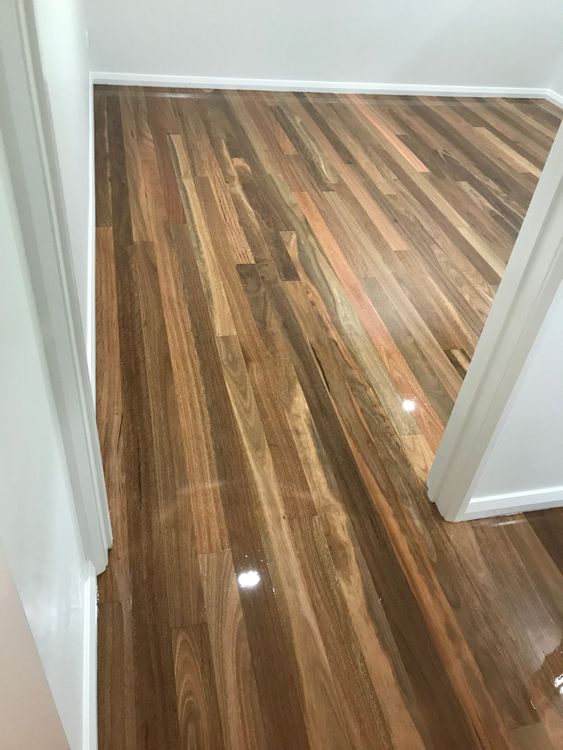 Newly varnished floor — Floor Sanding in Cairns