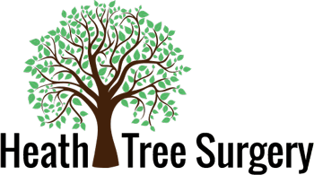 Heath Tree Surgery, tree surgeon in Cheltenham