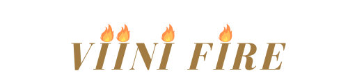 Viini fire logo