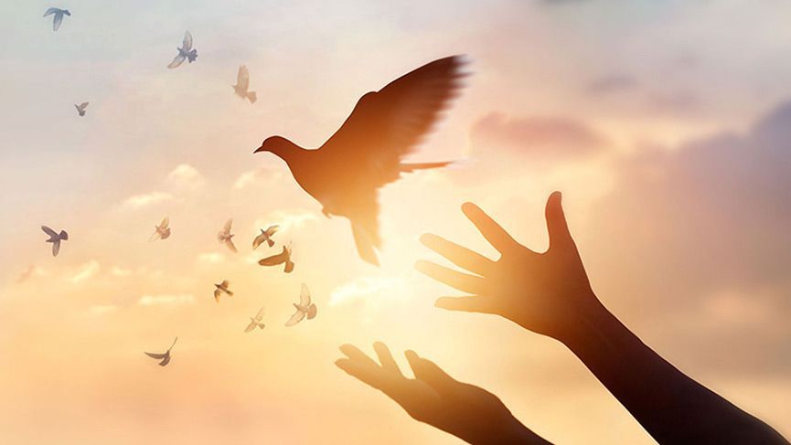 A person is reaching out towards a flock of birds in the sky.