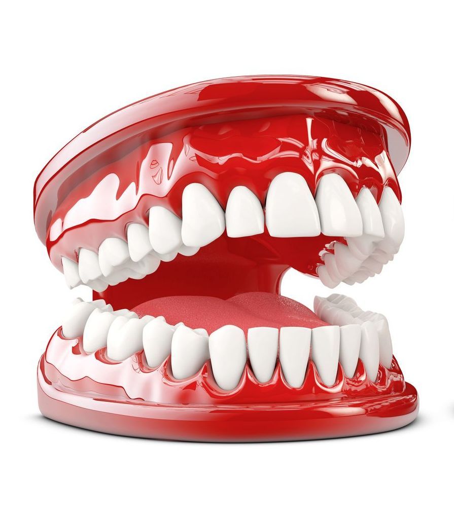 graphic model of full dentures