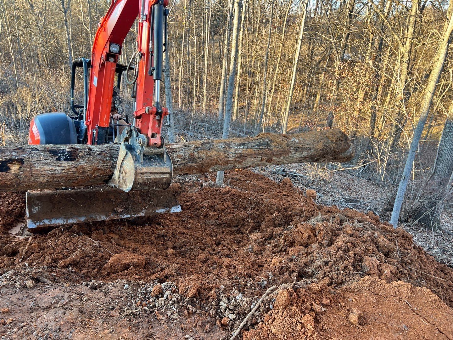 A red excavator is digging a hole in the dirt in the woods.