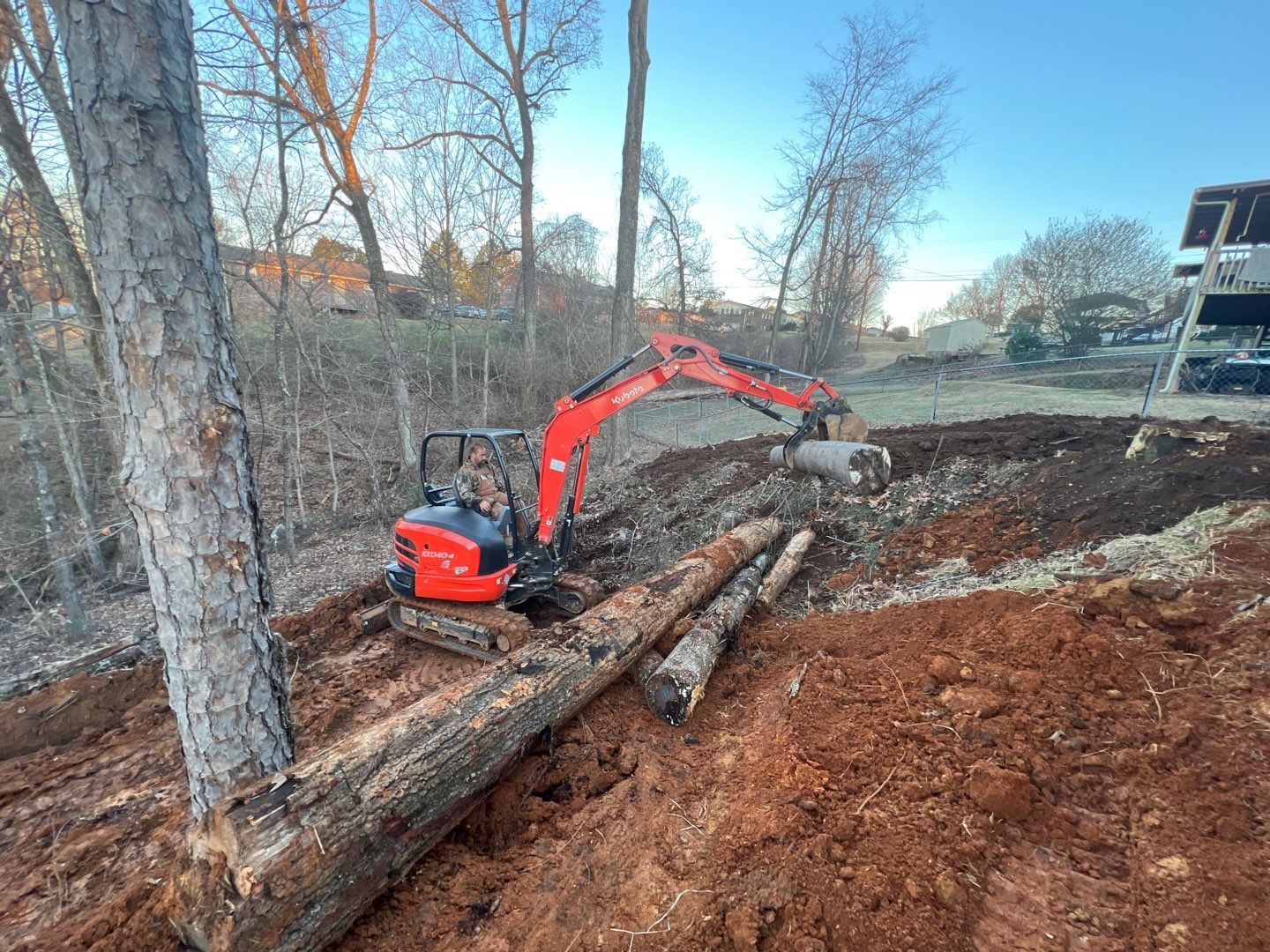A red excavator is digging a hole in the dirt next to a tree.