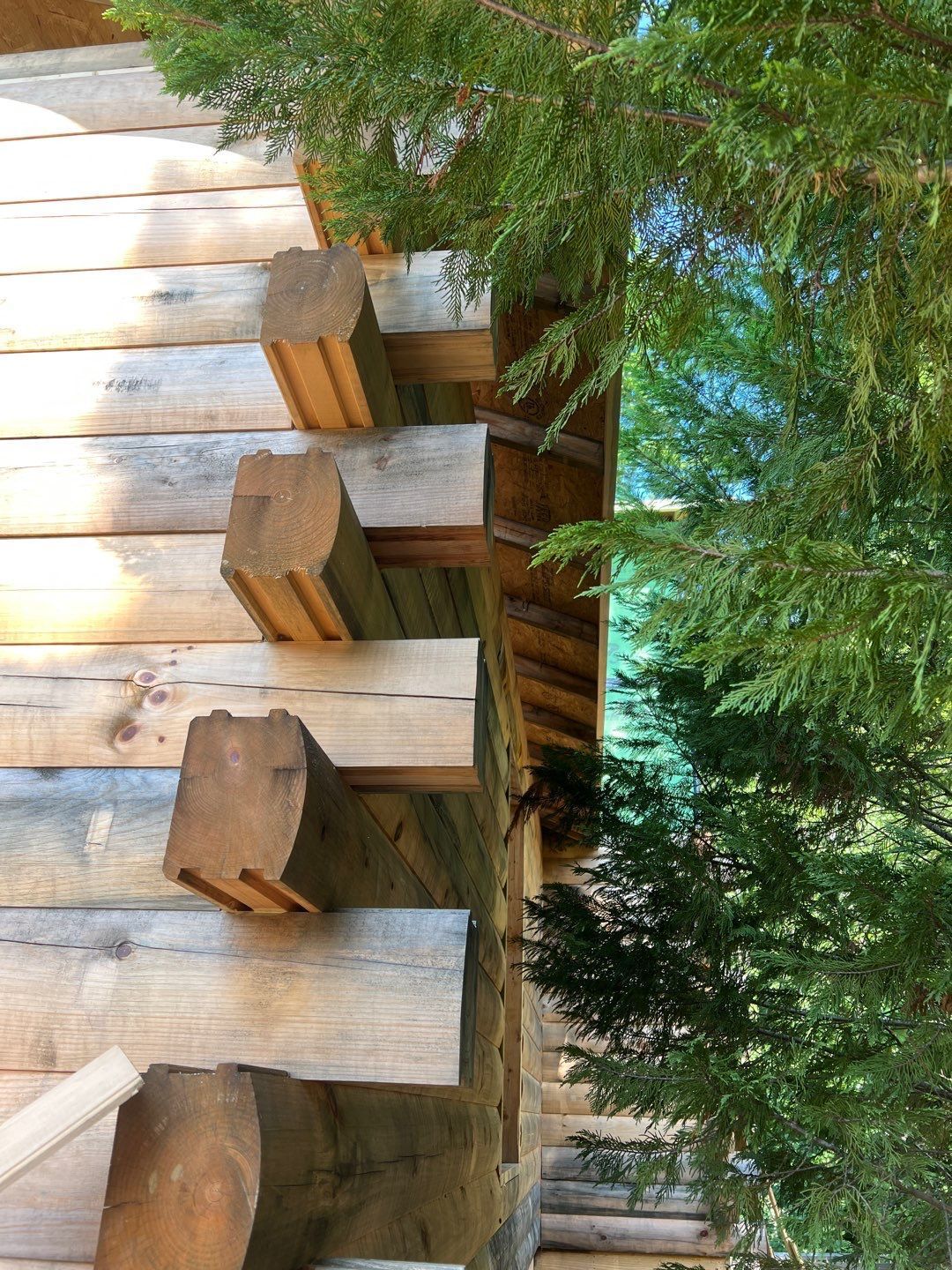 A close up of a log cabin with trees in the background