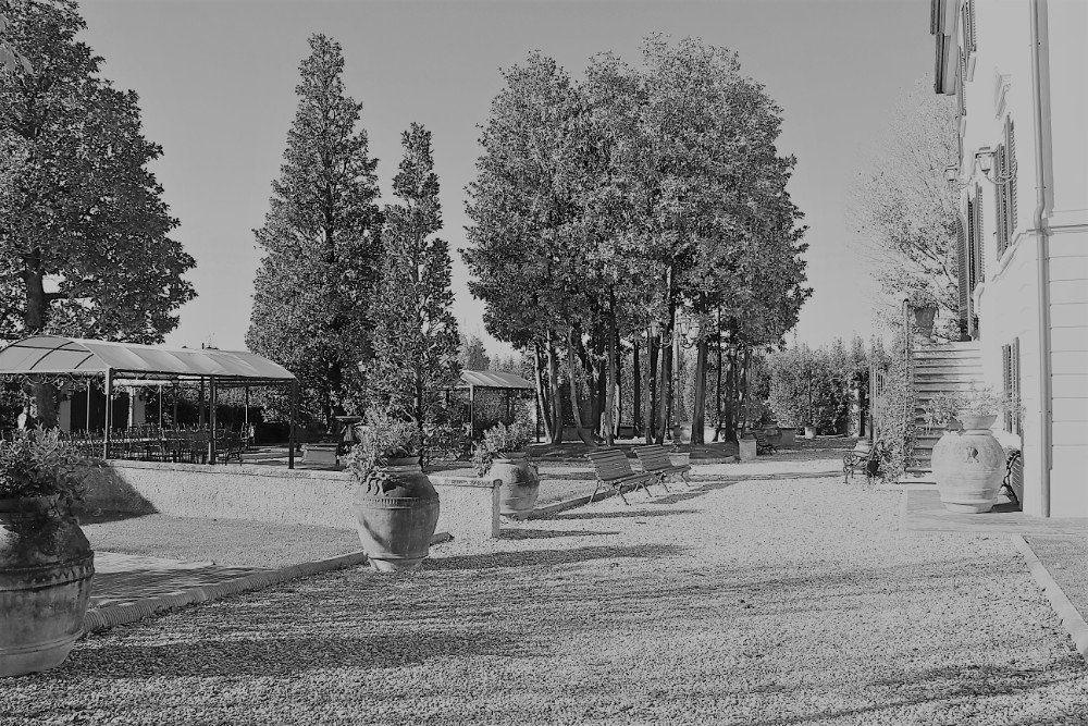 Foto antica: il parco della villa