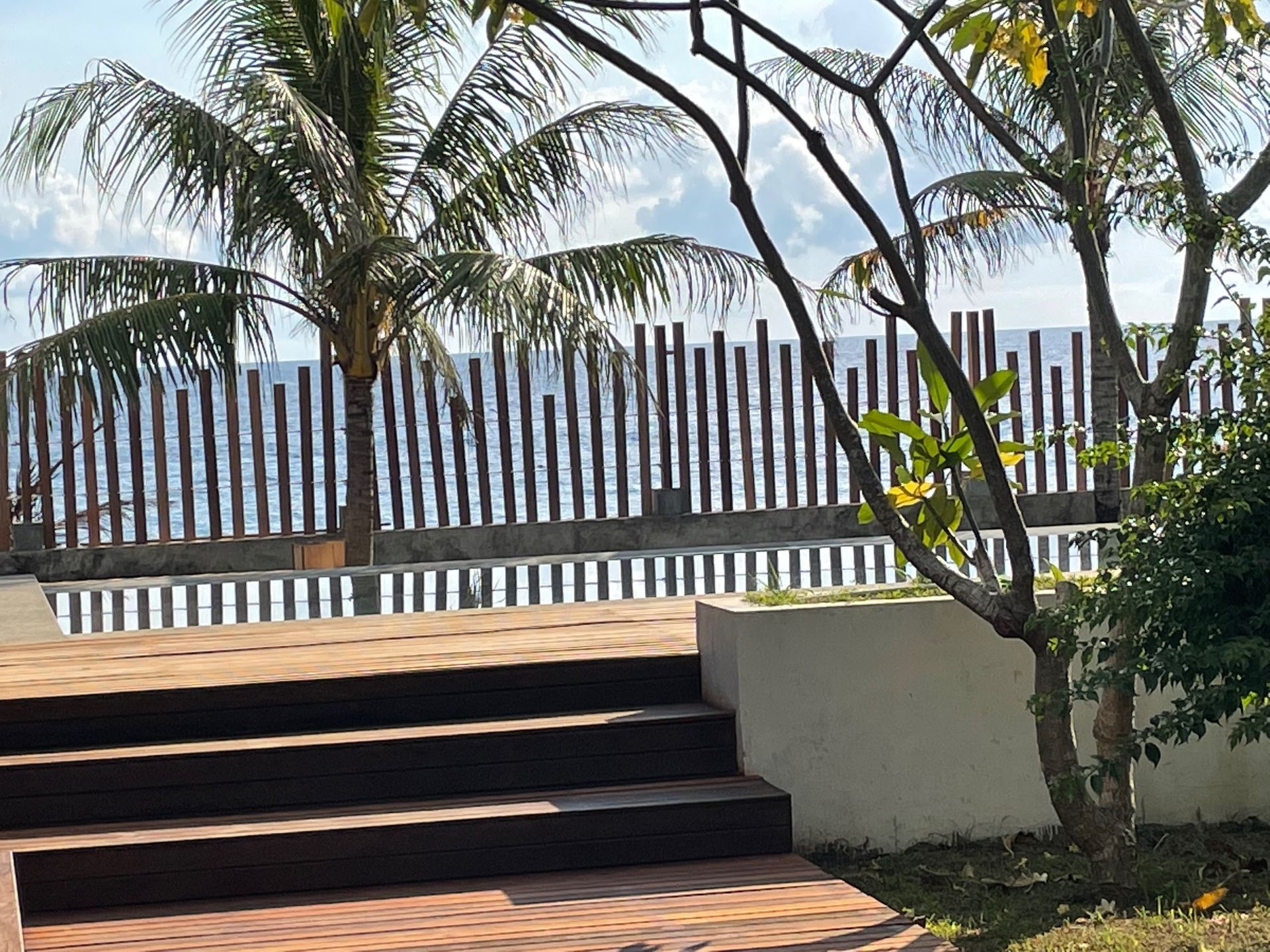 Stairs leading up to a fence with palm trees in the background