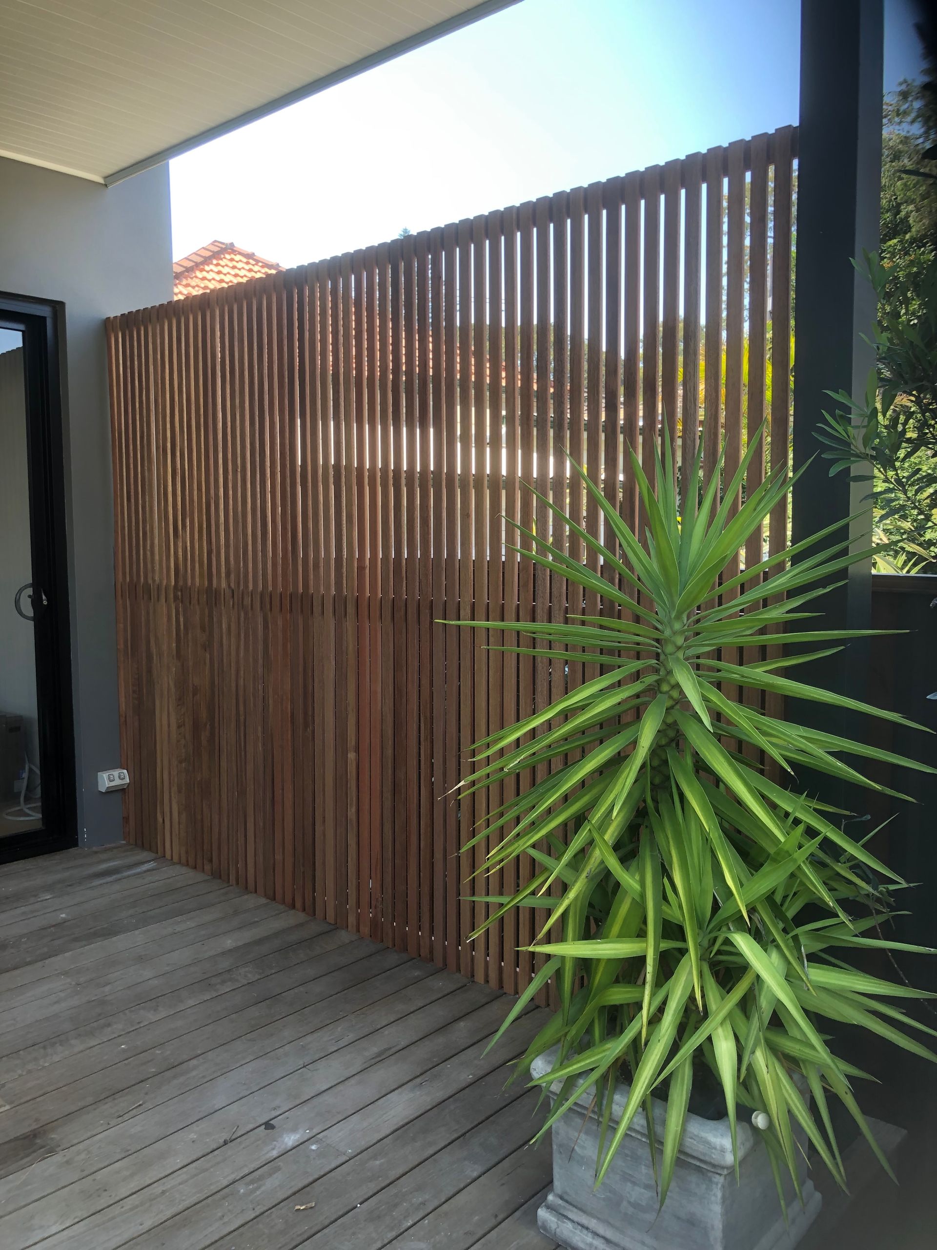 A potted plant is sitting on a wooden deck next to a wooden fence.