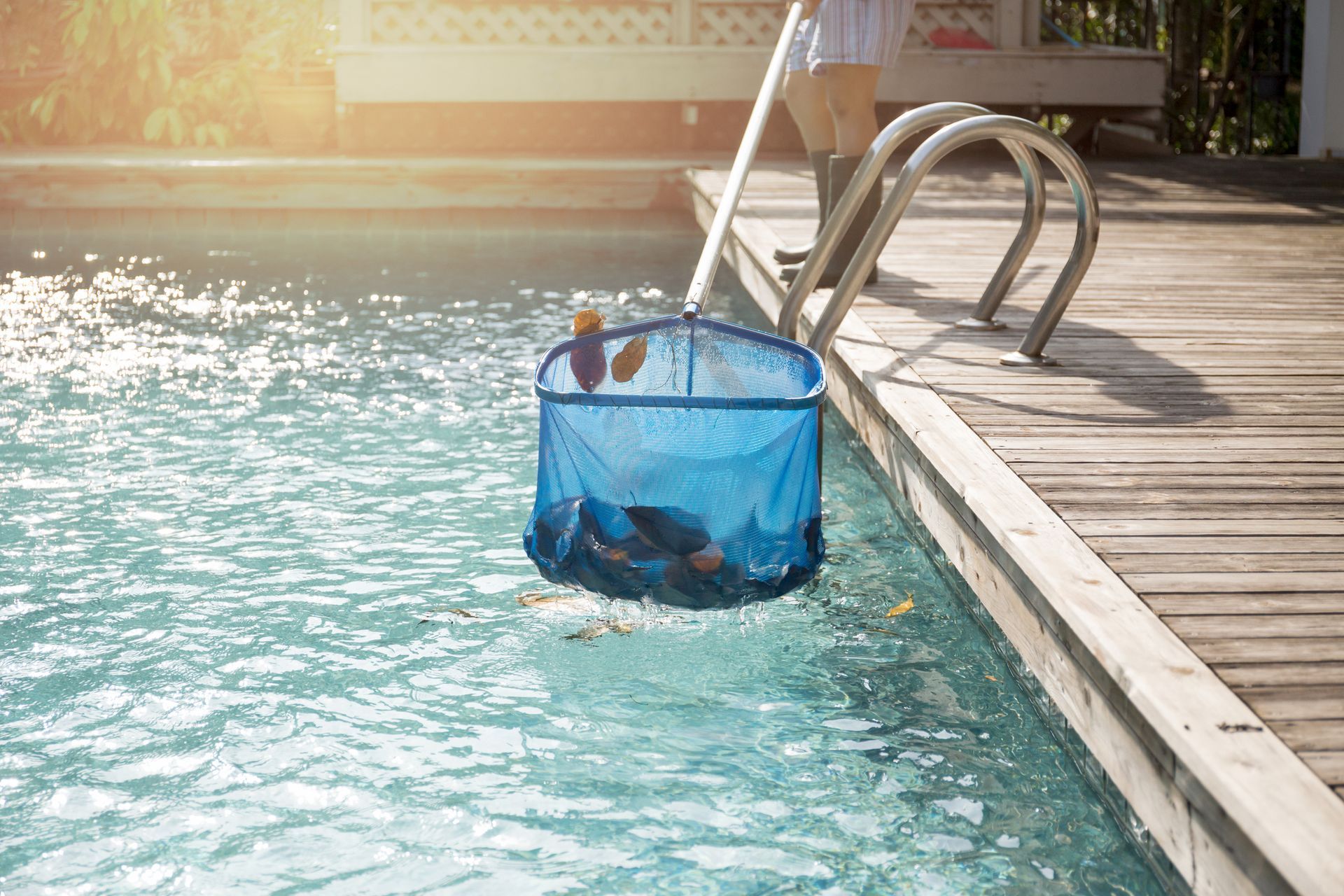 Swimming pool winterization worker skimming leaves from clear pool water with blue net.