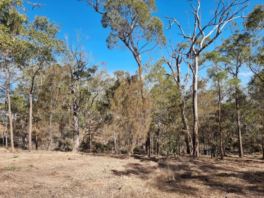Forest Land Clearing Process — Land Clearing in Good Night, QLD