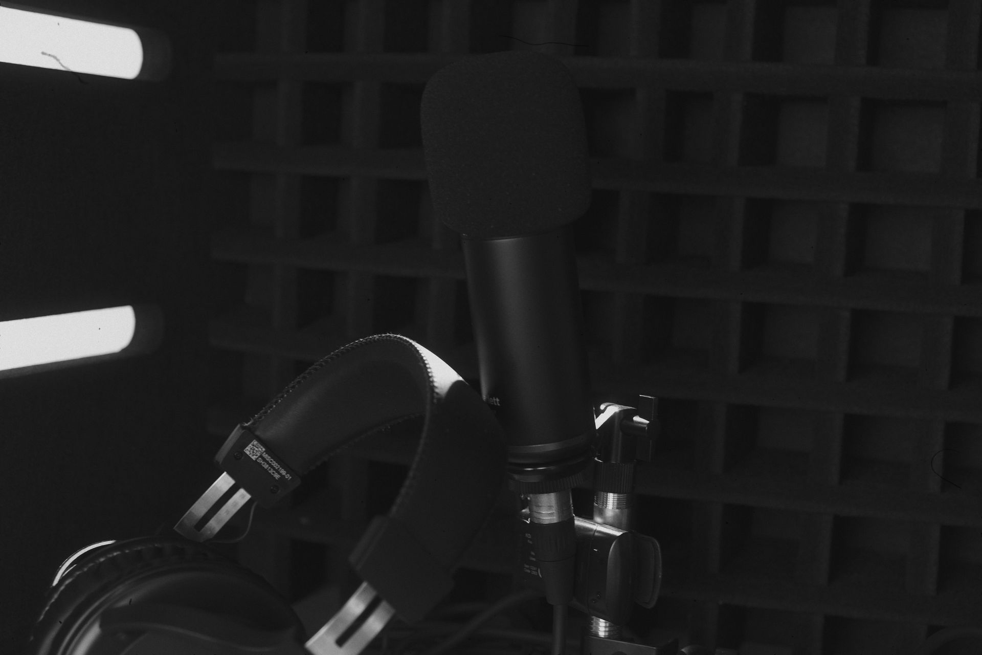 Microfoon thuisstudio Annabelle Remmerswaal