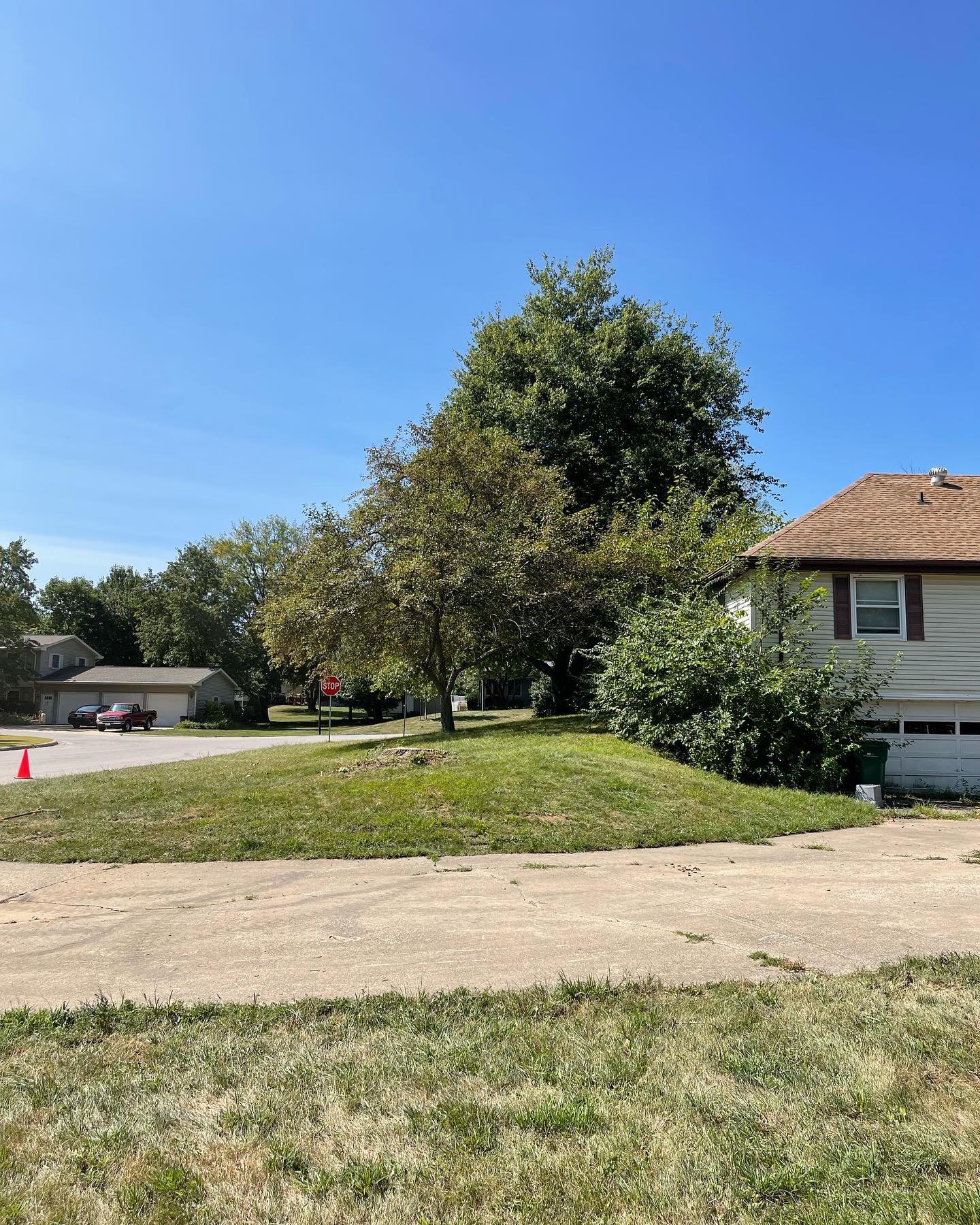 A house with a lot of grass and trees in front of it.