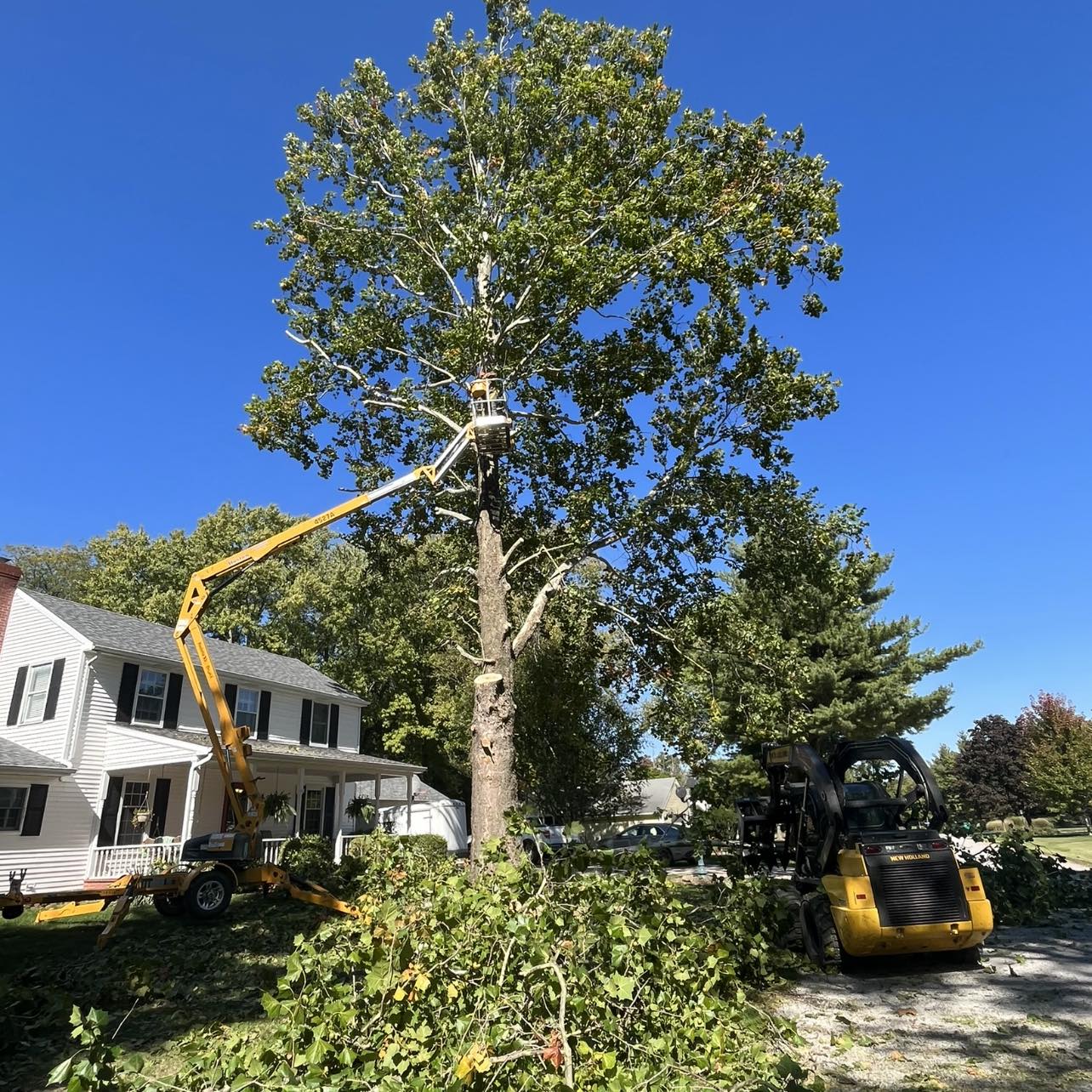 A large tree is being cut down in front of a house.