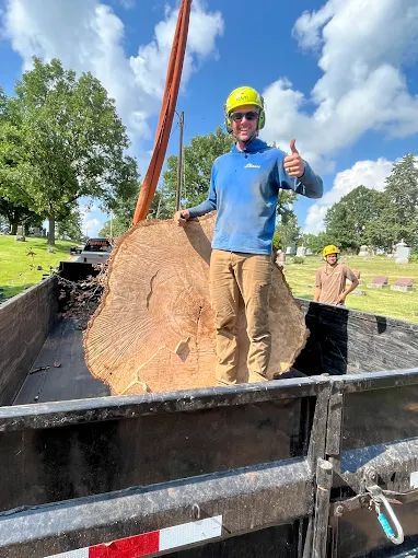 A man is standing in the back of a truck holding a tree stump and giving a thumbs up.