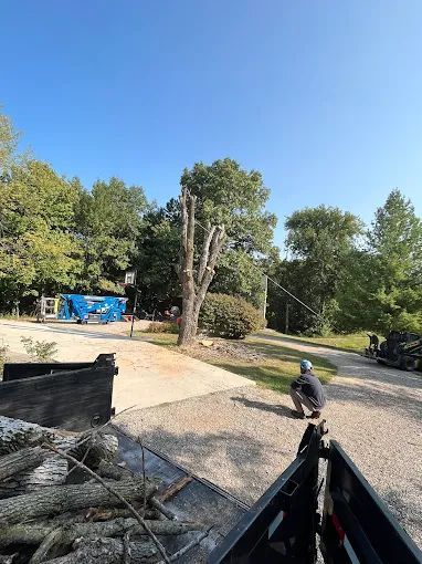 A man is kneeling down in front of a pile of logs.