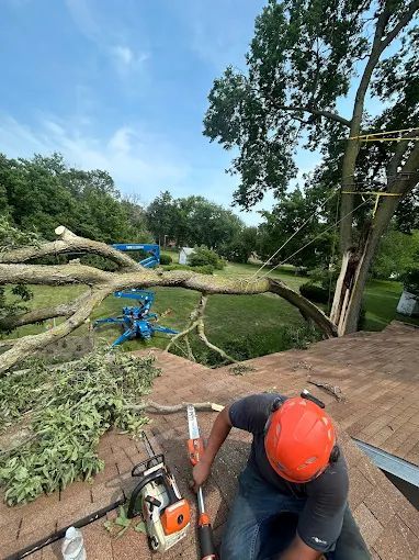 A man is cutting a tree branch with a chainsaw on a roof.